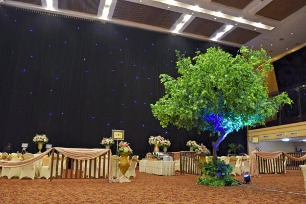 Sewa Ballroom Jakarta Selatan | Wedding Rio Dan Shumi